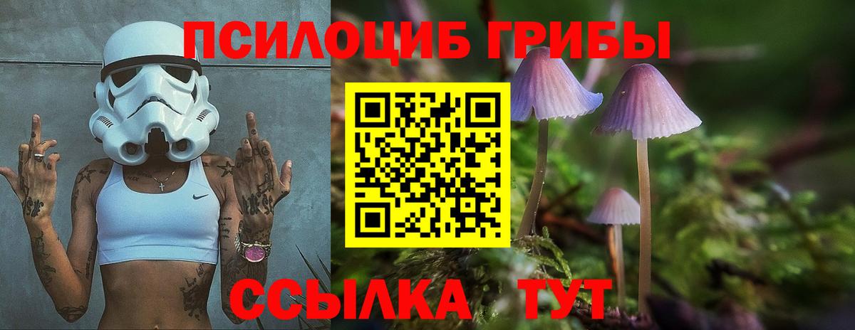 Галлюциногенные грибы Cubensis  Вход с VPN  Зерноград 